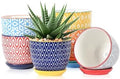 Selamica Ceramic Succulent Pots, 4.6 Inch Small Plant Pots with Drainage Holes & Saucers, Succulent Planters for Indoor Plants Cactus, Home Decor, Set of 6, Assorted Colors by Selamica
