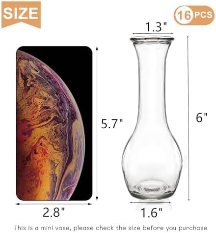 ZOOFOX Set of 16 Glass Bud Vase, Small Vases for Single Rose, Clear Glass Flower Bottle for Rustic Wedding Centerpieces, Home Table Flower Decor, Floral Arrangements - Image 2