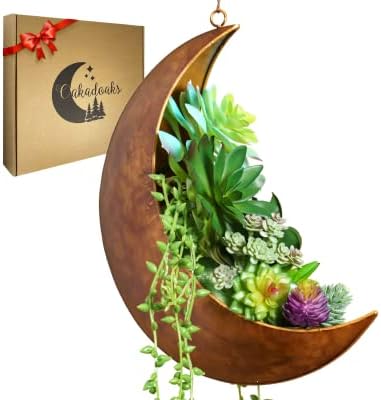 Hanging Moon Planter - Moms Day Gift - Moon Room Decor - Unique Planters for Succulents & Air Plants - Plant Lover Gifts - Boho & Hippie Style by Oakadoaks