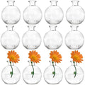 SOUJOY Set of 12 Small Glass Ball Bud Vase, Unique Mini Low Sitting Flower Vase, Clear Floral Centerpieces for Home Decor, Weddings, Floral Arrangements, Events, Parties by SOUJOY