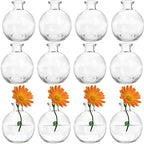 SOUJOY Set of 12 Small Glass Ball Bud Vase, Unique Mini Low Sitting Flower Vase, Clear Floral Centerpieces for Home Decor, Weddings, Floral Arrangements, Events, Parties by SOUJOY
