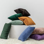 JUSPURBET 28x28 Euro Velvet Throw Pillow Covers Set of 2,Coffee - Image 3
