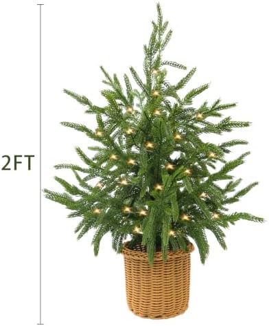 Christmas Decorations - 2FT Pre-Lit Artificial Norfolk Pine Christmas Tree - Image 3