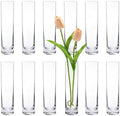 Glass Cylinder Bud Vases for Centerpieces, Set of 12 Clear Small vases,Handmade Slim Flower Vases Wedding Table Decor for Single Rose vases Bulk, Home Aesthetic Desk Decor, Party Decorations,7.5" by ZHAOHAI
