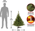 National Tree Company 4ft Unlit Kincaid Spruce Mini Christmas Tree - Image 3