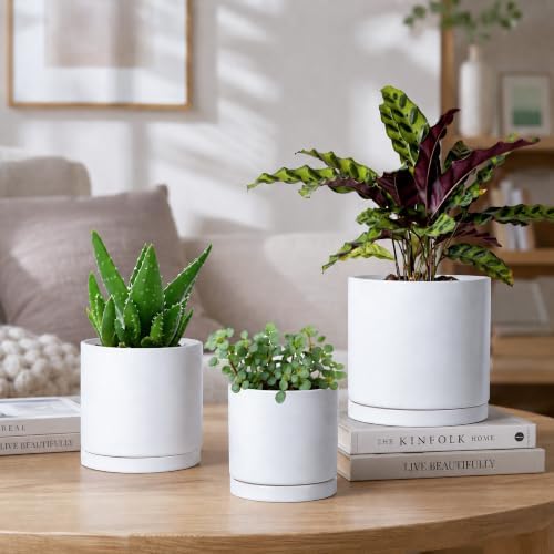 D'vine Dev 3-Pack White Terracotta Pots & Saucers, 4/5/6 in, 40-T-A-1 - Image 7