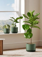 LE TAUCI Ceramic Plant Pots, Set of 2, 8+10 Inch, Forest Green - Image 7