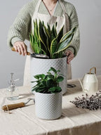 LE TAUCI 10+8+6 Inch Ceramic Pots for Plants, Indoor Planters with Drainage Hole and Plug, Raised Dots Cylinder Flower Pots Set of 3 for Office and Living Room, Glossy, Star Gray - Image 2