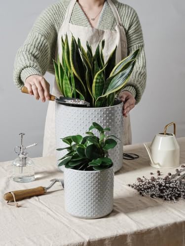 LE TAUCI 10+8+6 Inch Ceramic Pots for Plants, Indoor Planters with Drainage Hole and Plug, Raised Dots Cylinder Flower Pots Set of 3 for Office and Living Room, Glossy, Star Gray - Image 2