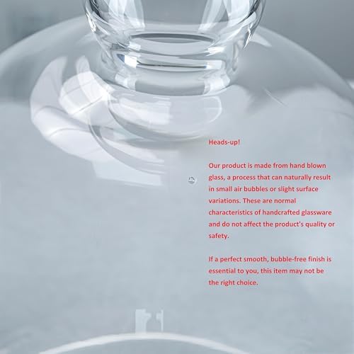 CYS EXCEL Glass Bell Dome Cloche (H:16" W:12") Enchanted Rose Glass Cover Cake Dessert Display Terrarium Jar Plant Cover - Image 6