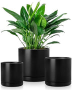 vancasso Ceramic Plant Pots, 3 Piece Planters for Indoor Plants, Black by vancasso