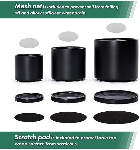 D'vine Dev 3-Pack Black Terracotta Pots & Saucers, 4/5/6 in, 40-T-A-2 - Image 4
