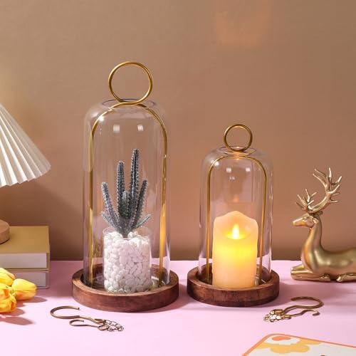 12" High Versatile Vintage Brass Metal Candle Holder with Handmade Sturdy Glass Dome and Natural Wooden Base for Pillar Candle & Plants, Industrial, Farmhouse, Shabby Chic, Display Cloche Bell Jars - Image 6