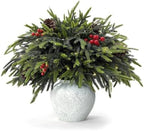 YGSEPCC 20Pcs 23" Christmas Decorations Norfolk Pine Branches with Lights by YGSEPCC