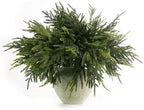 WHANLEY L&Q 20-Piece Set 23" Christmas Norfolk Pine Branches with Lights - Battery Operated Christmas Decorations - Warm Lights -Norfolk Pine Stems for Xmas DIY Crafts Garland Wreath- Christmas Decor - Image 2