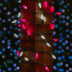 Novelty Lights 24FT 70 LED C6 Outdoor Valentine's Day String Lights - Image 3