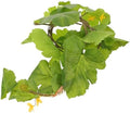 PRETYZOOM Faux Pumpkin Vine, Artificial Pumpkin Leaves Garland，66.92in by PRETYZOOM
