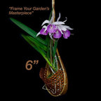 Handmade 100% Thai Bamboo 6 Inch Signature Super Sanctuary SIAM Orchid Hanging Basket with Nursery Grade Coconut Shell Staves Coir Pith Sponge & Husk Mulch - Image 3