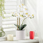 Fake Orchid Plant 23" Tall, Realistic Touch Leaves, Potted Phalaenopsis Artificial Plants Indoor for Home Decor Small Office Home Living Room-White - Image 6