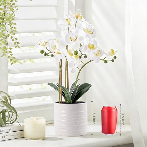 Fake Orchid Plant 23" Tall, Realistic Touch Leaves, Potted Phalaenopsis Artificial Plants Indoor for Home Decor Small Office Home Living Room-White - Image 6