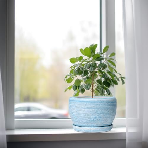 SQOWL Ceramic Planter - 8 inch Pot for Plants Indoor Outdoor, Modern Ceramic Flower Pot with Drainage Hole and Saucer, Decorative Round Planter, Home Office Decor, Plant Lovers Gifts, Blue - Image 4