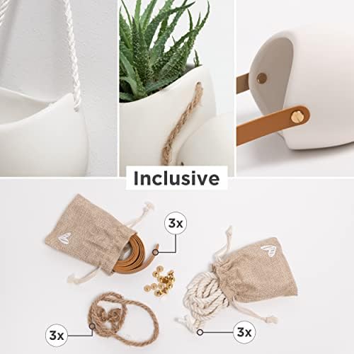 Kazai. Wall Planters -Ellie- | Hanging Ceramic Plant Pots 3 Pieces | Wall Decoration for Indoors, Balcony and Garden | Cream (Matte) - Image 2