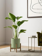 LE TAUCI 10+8+6 Inch Ceramic Pots for Plants, Indoor Planters with Drainage Hole and Plug, Modern Cylinder Flower Pots Set of 3 for Living Room and Kitchen, Glossy, Sage Green - Image 3