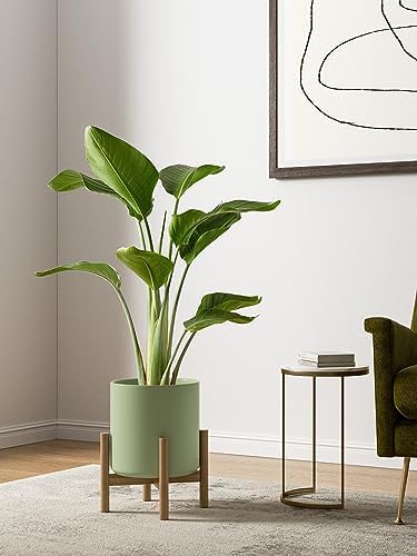 LE TAUCI 10+8+6 Inch Ceramic Pots for Plants, Indoor Planters with Drainage Hole and Plug, Modern Cylinder Flower Pots Set of 3 for Living Room and Kitchen, Glossy, Sage Green - Image 3