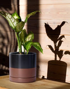 D'vine Dev 2-Pack Ceramic Pots with Saucers, Black/Tan, 6.5 in, 94-V-C-7 - Image 2
