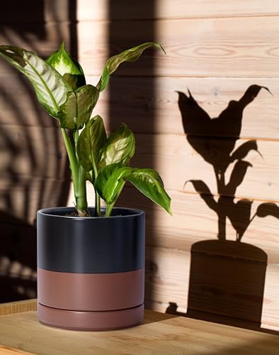 D'vine Dev 2-Pack Ceramic Pots with Saucers, Black/Tan, 6.5 in, 94-V-C-7 - Image 2