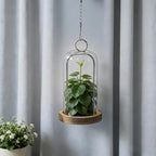 12" High Versatile Rustic Brown Metal Candle Holder with Handmade Sturdy Glass Dome and Shabby Brown Wooden Base for Pillar Candle & Plants, Industrial, Farmhouse, Decorative Display Cloche Bell Jars - Image 5