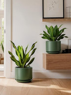 LE TAUCI Ceramic Plant Pots, Set of 2, 8+10 Inch, Forest Green - Image 6