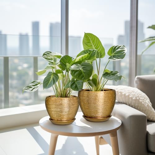 Flower Pots for Indoor & Outdoor Plants - Ceramic Pots 10 Inch, 8 Inch, 6 Inch with Drainage Holes, Saucers - Decorative Large Planters Set of 3 Gold - Image 4