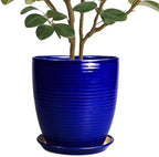 Ceramic Planter Pot - 10 Inch Plant Pot Indoor with Drainage Hole and Saucer Round Planter Large Modern Decorative Flower Pot Outdoor Garden Pot Blue by EPFamily