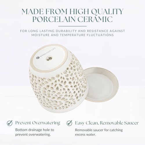 Elegant Orchid Pot with Holes, Large 6.5 inch Premium Porcelain Ceramic Orchid Pot for Repotting, Durable Ceramic Planter with Removable Saucer for Easy Drain, Planter Gifts for Moms - Image 6