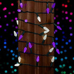 Novelty Lights 24FT 70 LED C6 Commercial Grade LED String Lights, Outdoor - Image 3