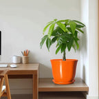 10 Inch Plant Pot, Ceramic Pots for Plants with Drainage, Orange - Image 7