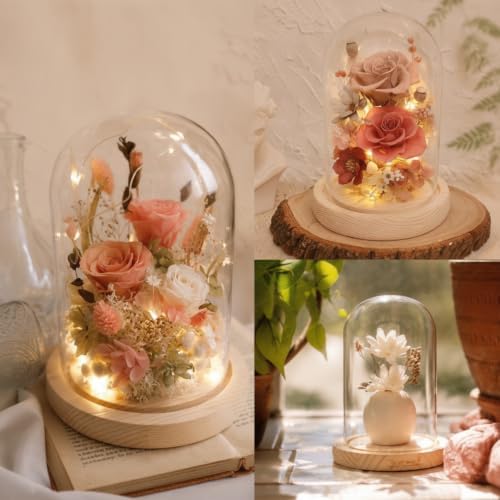 Roowest 12 Pcs Plastic Cloche Dome, led Light & Wood Base, 6.5 x 3.7 Inch - Image 4