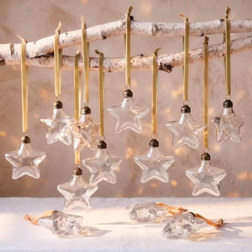Xuhal 12 Pcs Christmas Glass Star Decor, Vintage Hanging Ornament, Clear by Xuhal
