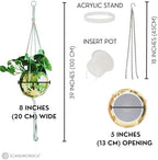 SCANDINORDICA Disco Ball Planter, Value Package, 8-inch Gold - Image 3
