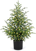 ENVEN 2FT Norfolk Pine Christmas Tree – Small Artificial Tree with Prelit 30 LED Lights & 8-Mode Battery Box, Pre-Assembled Xmas Decor for Desks Tabletops Shelves by ENVEN