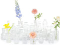 SUPMIND 24pcs Glass Bud Vase Set, Clear Small Flower Vases for Centerpieces by SUPMIND