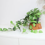 Fake Pothos Hanging Plants - 33" Set of 2 Artificial Silk Ivy Vines with Pots, Realistic Faux Greenery for Indoor Home Office Bathroom Decor, Low Maintenance Hanging Plant Decoration - Golden Green - Image 5