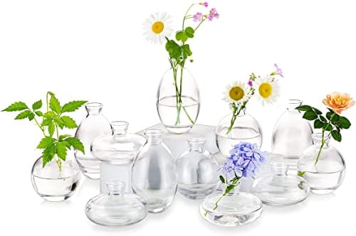 Glass Bud Vases Set of 12, Hewory Cute Clear Small Vases Handmade, Mini Glass Flower Vase for Floral Arrangement, Tiny Centerpiece for Wedding Party Events Home Office Table Decor (Not Include Flower) by Hewory
