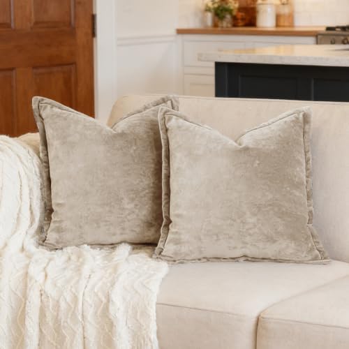 Luxurious Velvet Throw Pillow Covers 20x20 Set of 2 Decorative Pillow Covers Solid Square Cushion Case for Sofa Couch Bedroom Farmhouse, Beige by COCOPLOCEUS