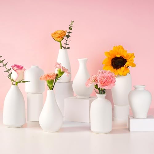 8 Pack Ceramic Bud Vase, White Ceramic Vase Modern Mini Bud Vase by Linyona
