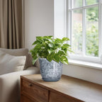 Ceramic Planter, 6 Inch Plant Pot for Indoor Plants, Grey - Image 5