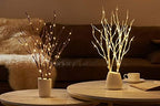 Birchlitland Lighted Brown Branches 18IN 70L Warm White Fairy Lights, LED Willow Branch Lights with Timer Battery Operated for Home Bedroom Living Room Vase Decoration - Image 5