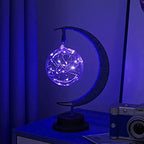 LED Decorative lamp Table lamp 3D Magic Moonlight Wrought Iron Night Light Christmas Home Decoration Birthday Gift USB Power Supply 5.5 * 5.1 * 11 inches （Round Ball Blue） - Image 2