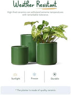 LE TAUCI 10+8+6 Inch Ceramic Pots for Plants, Indoor Planters with Drainage Hole and Plug, Modern Cylinder Flower Pots Set of 3 for Living Room and Kitchen, Glossy, Bamboo Green - Image 7